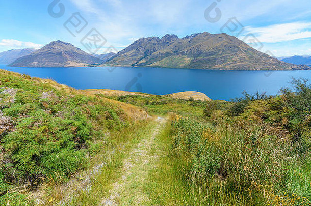 新西兰奥塔哥，昆斯敦，南阿尔卑斯山，瓦卡蒂普湖，徒步旅行jacks point track