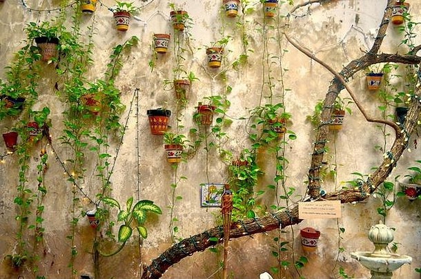 波多黎各旧圣胡安的花园墙，有彩色陶土<strong>花盆</strong>、悬挂的藤蔓和一串白光