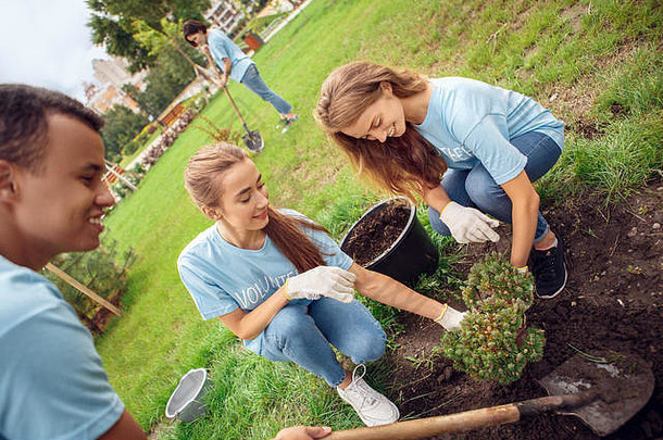 志愿服务年轻的人志愿者在户外种植树快乐前视图