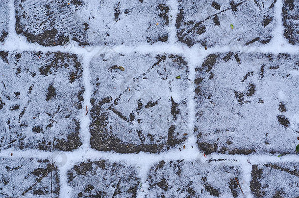 冬天第一场雪后鹅卵石上麻雀的足迹