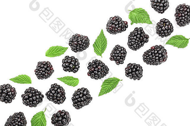 新鲜黑莓，白色背景上有隔离的叶子，文本有拷贝空间。顶视图。平铺模式