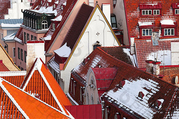 塔林古城的背景。红色屋顶的房子