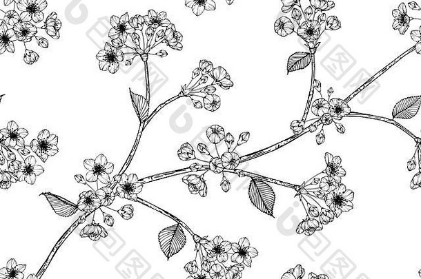 无缝的樱花花模式背景黑色的白色画行艺术插图