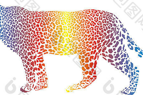 抽象彩虹豹