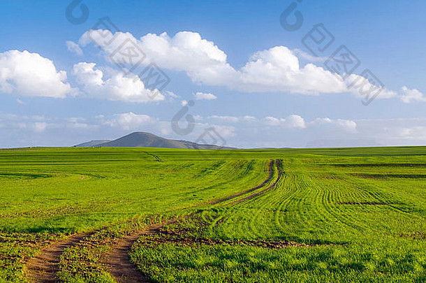 南非西开普省杜邦维尔山，多云的天空下，泥土在绿色的田野上留下痕迹