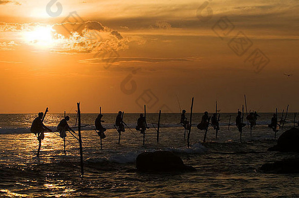 斯里兰卡斯里兰卡渔民栖息高跷日落米迪加马