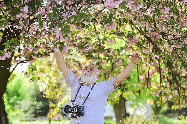 捕捉美丽人生旅程。<strong>摄影</strong>师在盛开的花园里。樱花花瓣落下。老式照相机。复古照相机。高级男子手持专业照相机。<strong>摄影课</strong>程。快乐的爷爷。