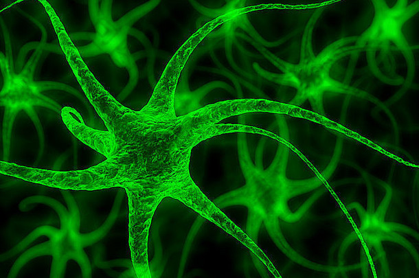 神经元-神经细胞图解