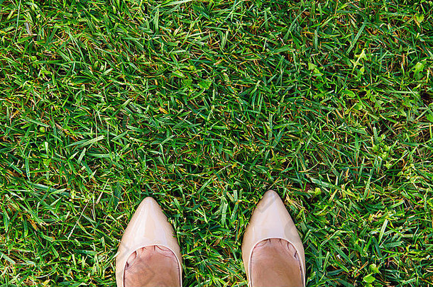 两条腿在草地上