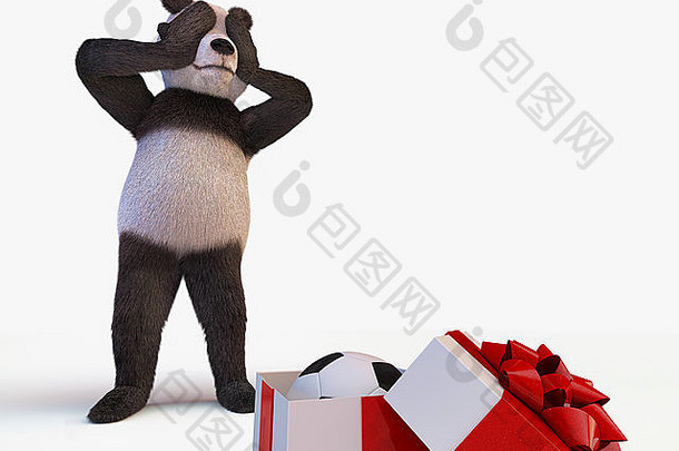 快乐可爱的主角大熊猫竹子站在半开的盒子后面，盒子里有一个礼物，里面是新的<strong>足球</strong>。