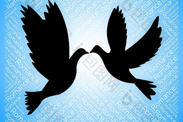约会鸽子显示爱鸟合作伙伴