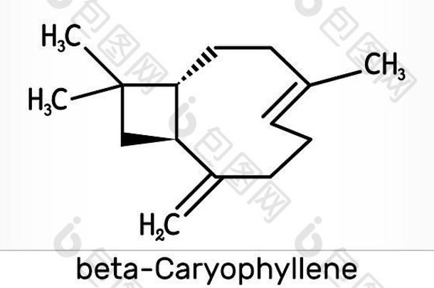 石竹烯，β石竹烯，C15H24分子。天然双环倍半萜是许多精油的一种成分。骨架化学