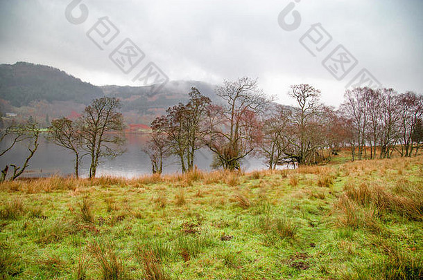 英国苏格兰秋天，多雾的雨天，苏格兰的风景，树木，草地和湖泊。