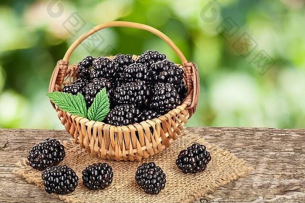 黑莓柳条篮子木表格模糊花园背景