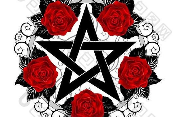 黑色的五角星形模式装饰盛开的红色的玫瑰叶子白色背景纹身风格