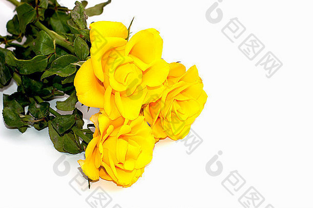 花束黄色的明亮的玫瑰叶子孤立的图像