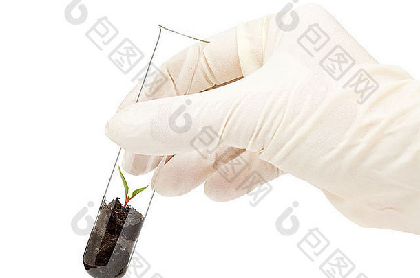 具有植物<strong>基因工程</strong>或生物技术研究概念的手持试管