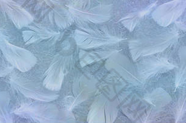 天使蓝色的羽毛背景横幅随机分散白色羽毛乡村纤维纸背景蓝色的色调
