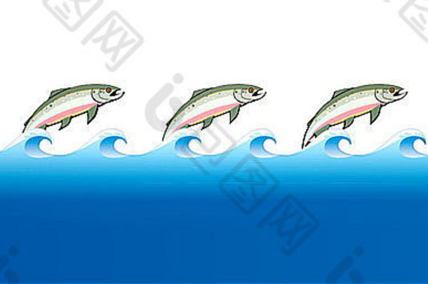 格式化伟大的大马哈鱼迁移图样粉红色的大马哈鱼行行蓝色的水孤立的后台