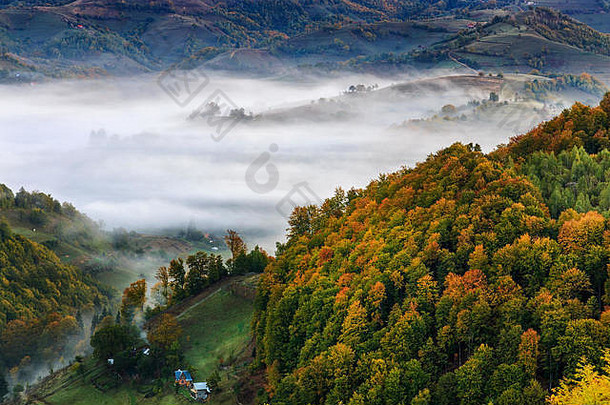雾<strong>云</strong>山谷景观罗马尼亚