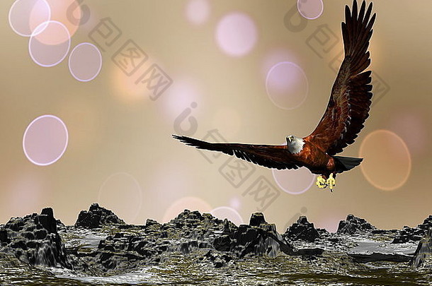 棕色波基背景中的鹰在山上飞翔-3D渲染