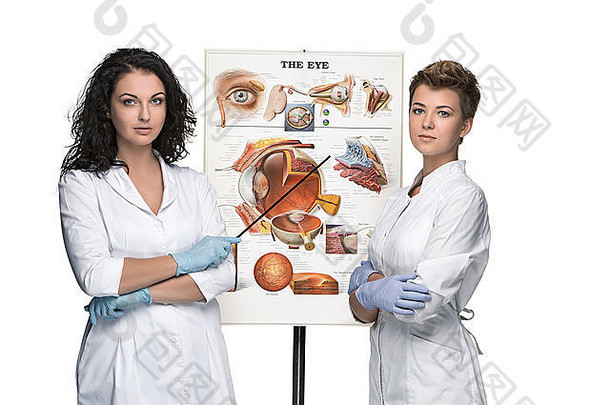 两位验光师或眼科医生讲述眼睛的结构