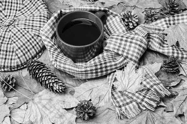 一大杯茶，四周围着秋天的围巾，背景是落叶枫叶和冷杉球果。马克杯舒适芳香茶饮料围巾和帽子。秋天散步的热饮。热饮料。