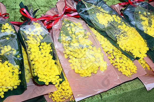3月8日妇女节黄色含羞草花