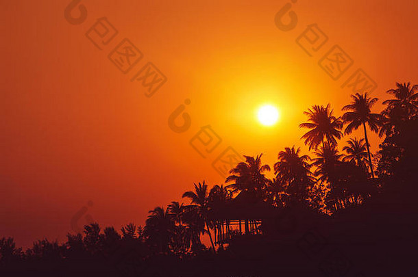 日落热带海滩棕榈树轮廓