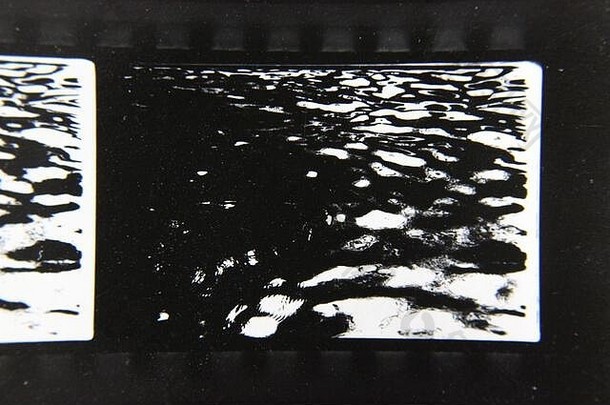 细古董联系打印黑色的白色极端的摄影群鸭子游泳池塘