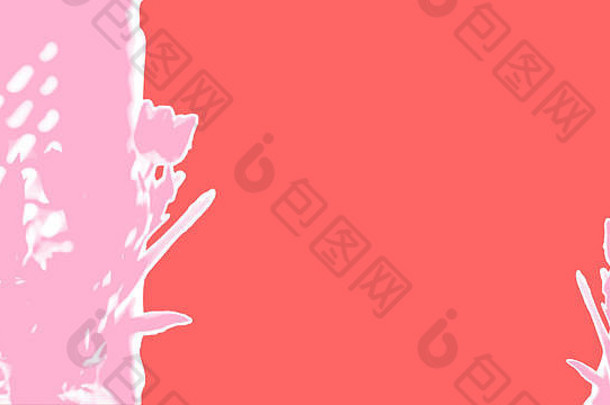 以活珊瑚为背景的撕开纸粉色郁金香，是2019年春天、复活节、母亲节背景的潘通颜色