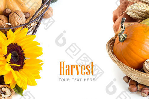 秋天的背景是南瓜、向日葵、小麦和坚果