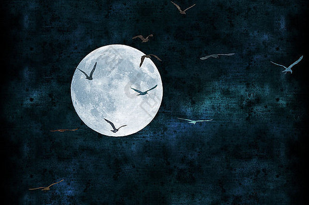 满月拼贴纸纹理，海鸥飞翔