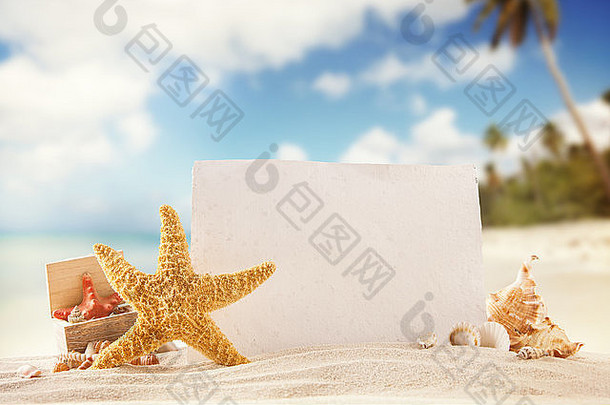 概念夏天海滩海星贝壳空纸消息