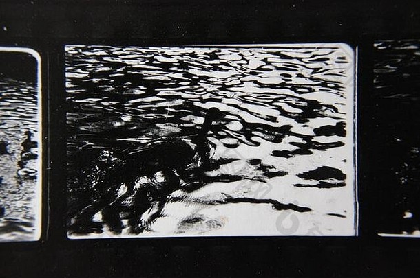 细古董联系打印黑色的白色极端的摄影群鸭子游泳池塘