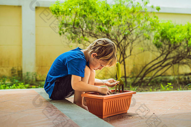 可爱的小男孩在花园里的花盆里播种