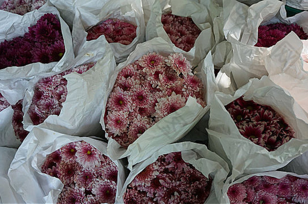 曼谷Pak Khlong Talat花卉市场