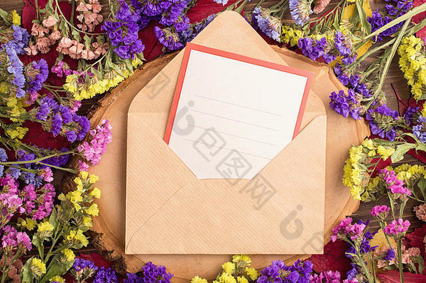 用卡片将干燥的五彩静态花包裹在信封周围