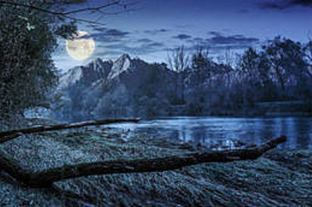 在满月的夜晚，塔特拉山脉的森林中，河岸上有河流和法伦树的复合景观