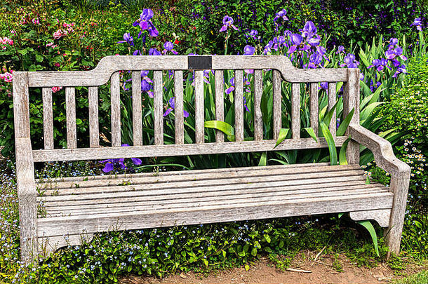 紫色的鸢尾花和粉色的玫瑰环绕着花园里一条饱经风霜的公园长椅，它们在可爱的和谐中相互补充。