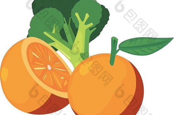 鲜食橙花椰菜载体插图设计
