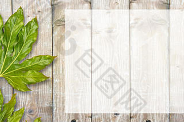 平坦的横幅由绿色叶子和露珠组成，放在白色的木桌上。文本的空间