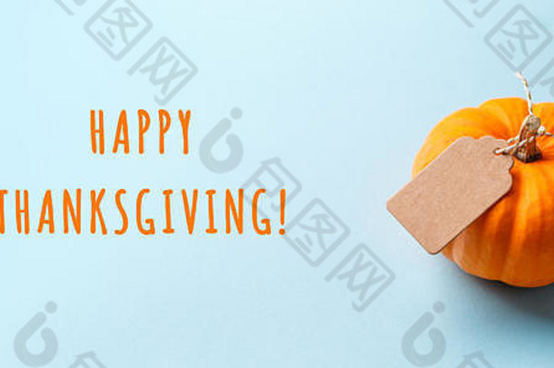 迷你橙色南瓜，蓝色纸背景上有纸板标签。秋天，礼物和感恩节的概念。软焦点