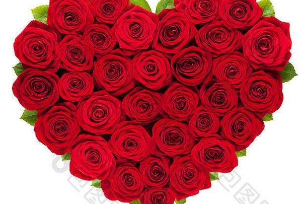 爱红色的玫瑰心孤立的白色背景