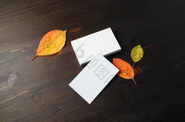 照片空白白色业务卡片秋天叶子木背景复制空间文本
