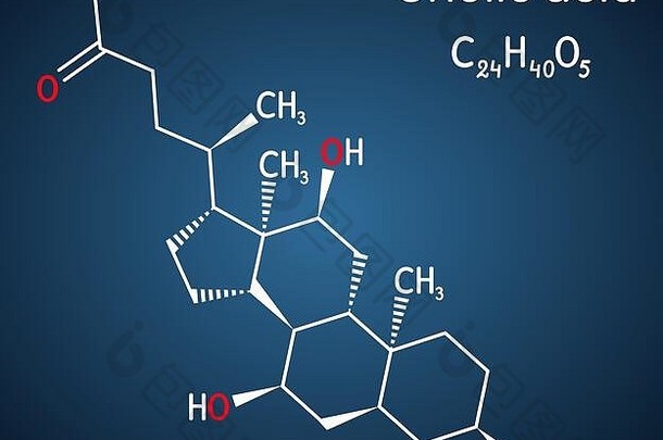 胆的酸给分子主要主甚至酸生产肝营养补充结构化学公式
