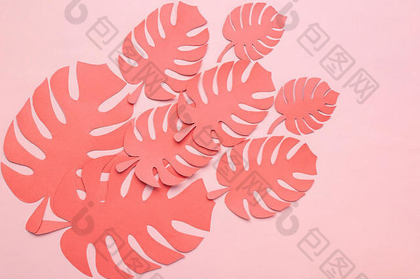 纸减少热带叶子黑暗珊瑚颜色粉红色的背景前视图