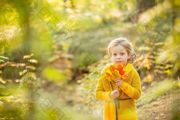 秋天快乐。一个穿燕尾服的小女孩正在玩落叶。你好，秋天的概念。孩子们在公园里户外玩耍。孩子们在秋天的森林里徒步旅行。十月一个阳光明媚的日子，一个蹒跚学步的孩子在枫树下。