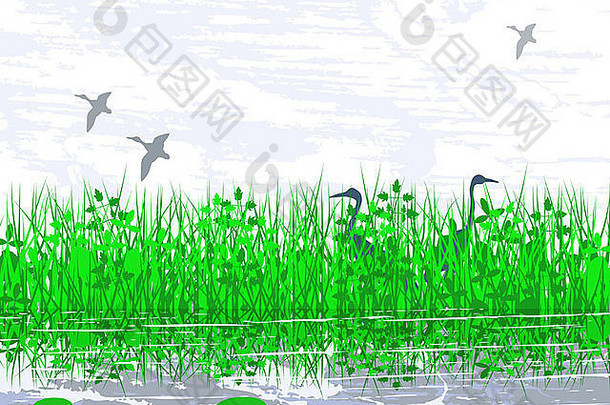 湿地栖息地的鸟类插图