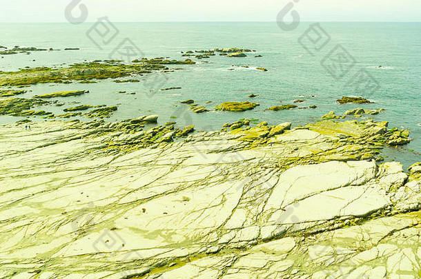复古风格图片新西兰南岛凯库拉大面积宽平面泥岩岩架延伸入海